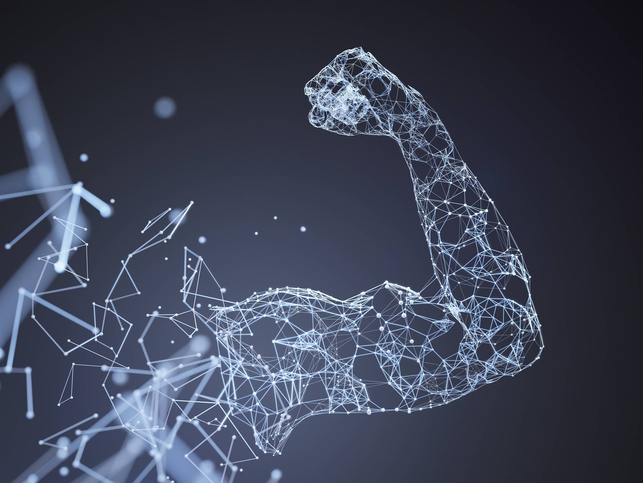 中美互聯(lián)網(wǎng)的“統(tǒng)治級捕食者生態(tài)”