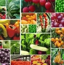 食藥監總局 堅持問題導向，加大食品農獸藥殘留治理力度，保障食用農產品安全